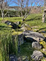 和食 花の茶屋の写真・動画_image_664147