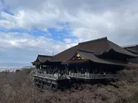 清水寺の写真・動画_image_664306