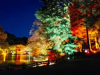 新宿御苑の写真・動画_image_664564