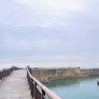 水橋フィッシャリーナの写真・動画_image_664819