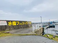 水橋フィッシャリーナの写真・動画_image_664821