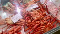 しんきろうロードの写真・動画_image_664844