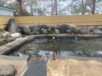 たから温泉の写真・動画_image_664869