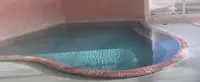 奥津温泉  池田屋  河鹿園の写真・動画_image_665132