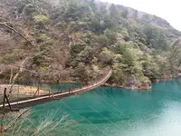 夢の吊橋の写真・動画_image_667297