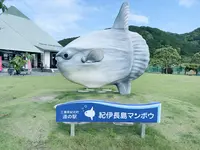 道の駅「紀伊長島マンボウ」の写真・動画_image_667588