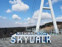 三島スカイウォークの写真・動画_image_668115