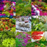 芝桜庭園樹木葬｜永代供養墓の写真・動画_image_668227