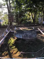 常陸国総社宮の写真・動画_image_668499
