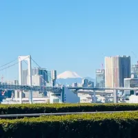 豊洲市場の写真・動画_image_668915