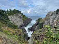 種差海岸の写真・動画_image_669822