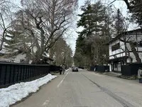 角館武家屋敷通りの写真・動画_image_669932