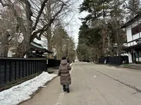 角館武家屋敷通りの写真・動画_image_669934