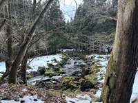 元滝伏流水の写真・動画_image_669997