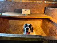 土田牧場の写真・動画_image_670009