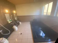 湯舟沢(ゆぶねさわ)温泉旅館の写真・動画_image_670188