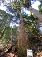 丸池様の写真・動画_image_670210