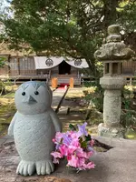 栖足寺の写真・動画_image_671172