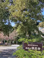栖足寺の写真・動画_image_671174