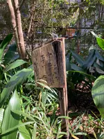 栖足寺の写真・動画_image_671177