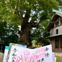 来宮神社の写真・動画_image_671185