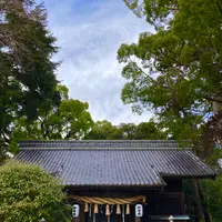 来宮神社の写真・動画_image_671186