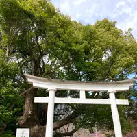 来宮神社の写真・動画_image_671188