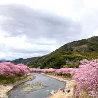 かわづいでゆ橋の写真・動画_image_671190
