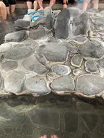 豊泉の足湯処の写真・動画_image_671196