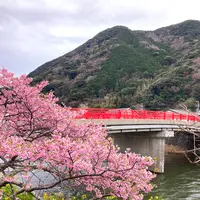 舘橋（静岡県賀茂郡河津町）の写真・動画_image_671199
