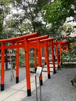 來宮神社の写真・動画_image_671234