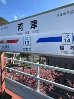 河津駅の写真・動画_image_671508