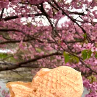 来宮橋の写真・動画_image_671512
