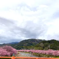 豊泉の足湯処の写真・動画_image_671514
