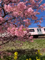 河津駅の写真・動画_image_671516