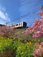 河津駅の写真・動画_image_671517