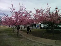 宇都宮城址公園の写真・動画_image_67161