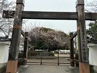 水戸城址の写真・動画_image_671627