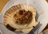 近江町市場飲食街 いっぷく横丁の写真・動画_image_671694