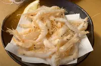 近江町市場飲食街 いっぷく横丁の写真・動画_image_671738