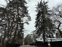 角館武家屋敷通りの写真・動画_image_671911