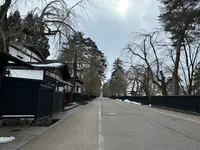 角館武家屋敷通りの写真・動画_image_671959