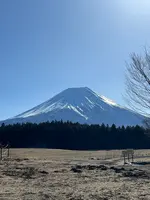 道の駅 朝霧高原の写真・動画_image_672177
