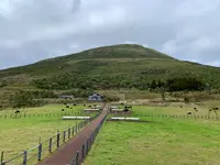 八丈富士牧野・ふれあい牧場の写真・動画_image_672824