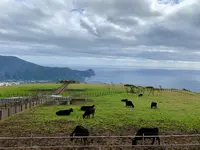 八丈富士牧野・ふれあい牧場の写真・動画_image_672825