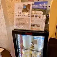 リードパークリゾート八丈島の写真・動画_image_672856