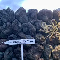 海辺のベンチの写真・動画_image_672866