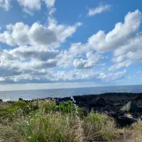 宇喜多秀家公と豪姫の碑の写真・動画_image_673073