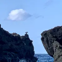 ヤケンヶ浜海水浴場の写真・動画_image_673076