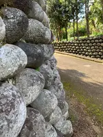 大里の玉石垣の写真・動画_image_673078